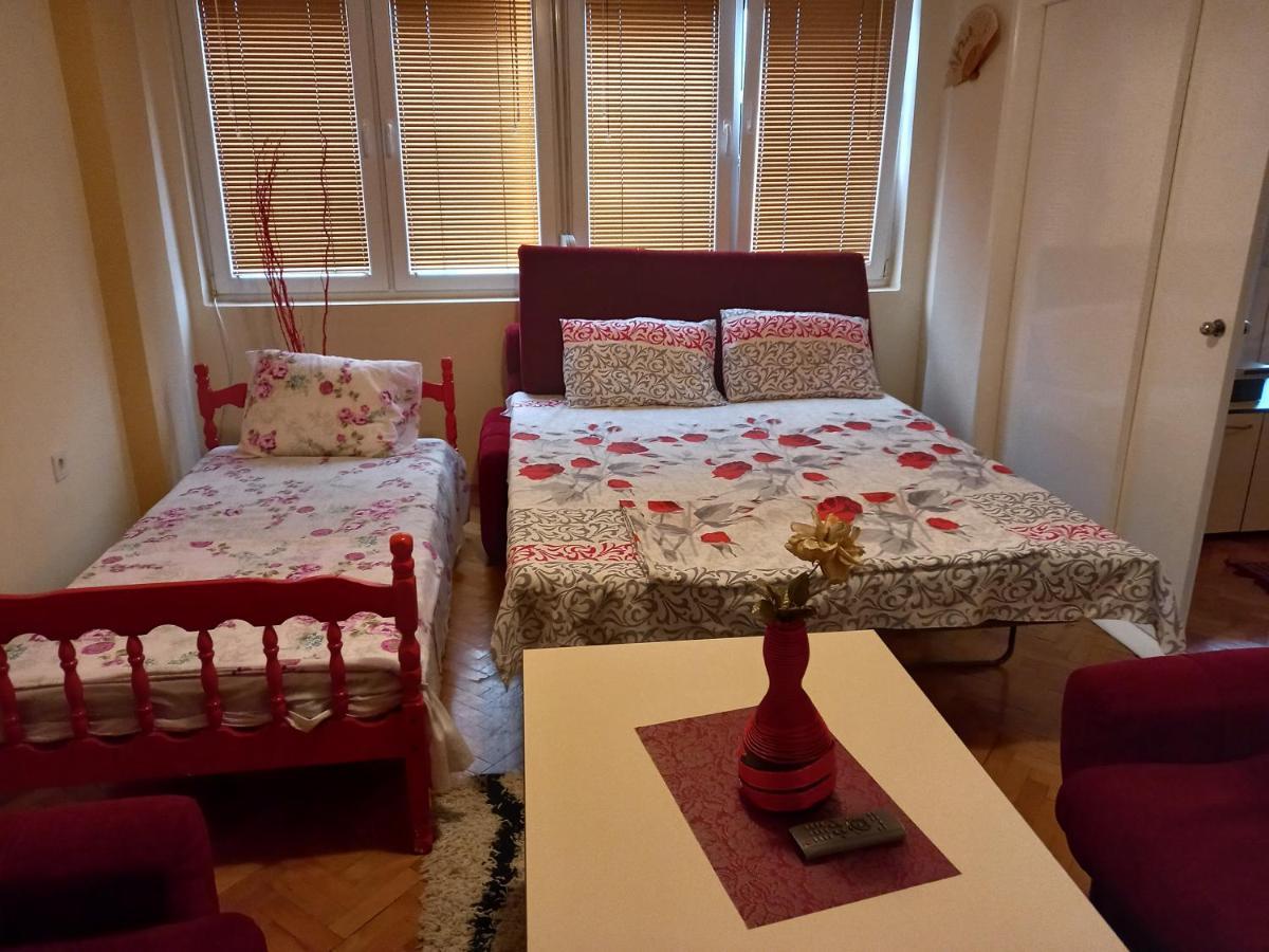 Apartment Biljana Ochryda Zewnętrze zdjęcie